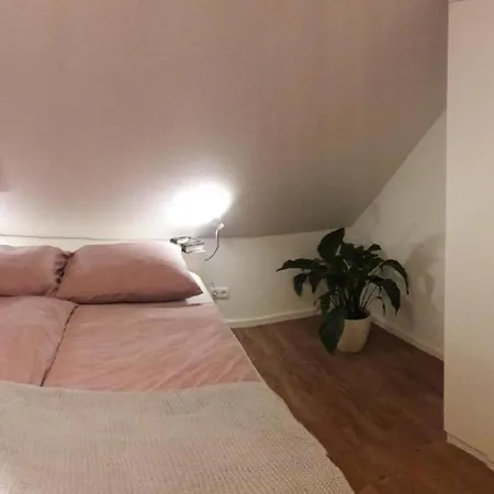Dachgeschossferienwohnung In Ruhiger Lage, Mit Gartenterrasse Und Gartenhaus Apartment *